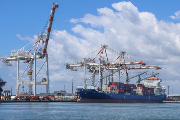 International-Trade-octoendustri